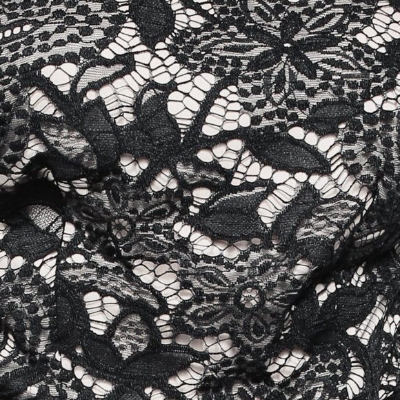 Express Women's Black Sheer Floral Lace Contrast Scalloped Hem Sheath Dress - Picture 13 of 13